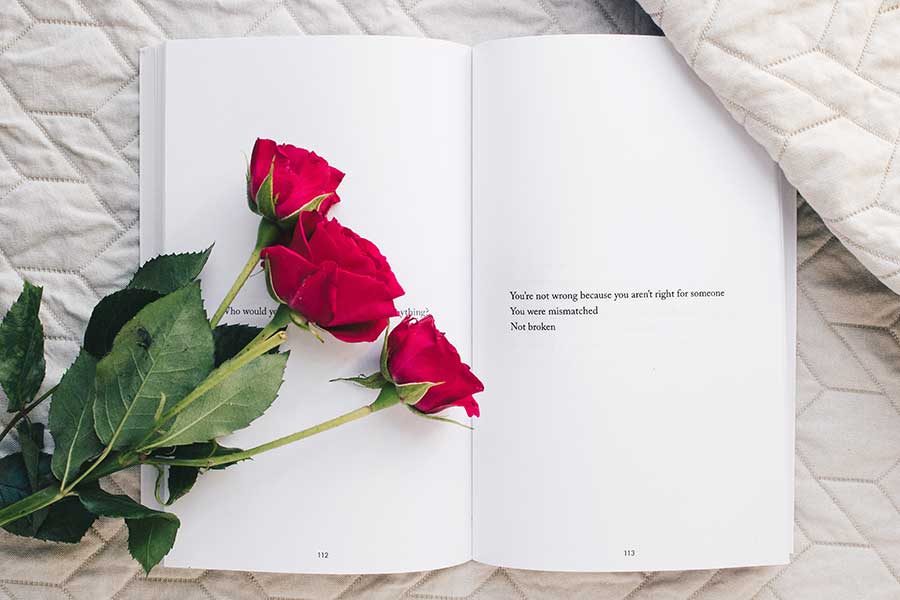 roses on open book